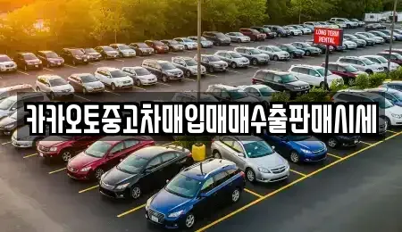 경기도 안양시 동안구 비산동 중고차매입 전문 카카오토중고차매입매매수출판매시세