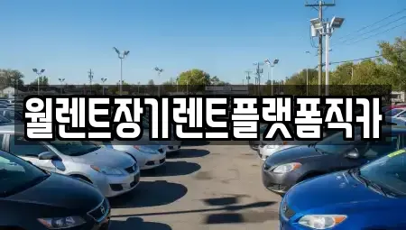 경기도 양평군 옥천면 장기렌트카 전문 월렌트장기렌트플랫폼직카