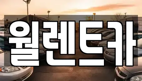 경기도 여주시 연양동 렌트카 전문 월렌트카
