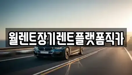 경기도 오산시 서동 렌트카 전문 월렌트장기렌트플랫폼직카