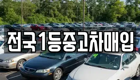 경기도 오산시 서동 중고차매입 전문 전국1등중고차매입