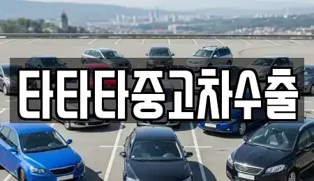 경기도 포천시 영북면 중고차 전문 타타타중고차수출
