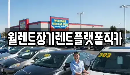 경기도 하남시 광암동 렌트카 전문 월렌트장기렌트플랫폼직카