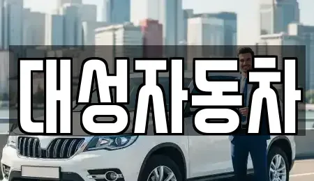 경남 거제시 거제면 중고차매매 전문 대성자동차