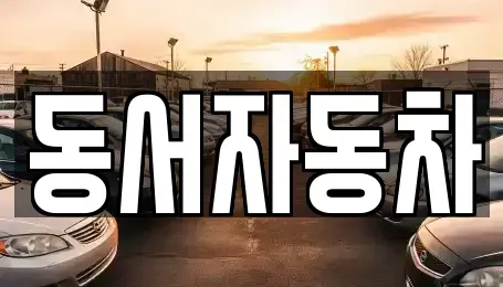 경남 거제시 거제면 중고차매매 전문 동서자동차
