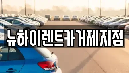 경남 거제시 아주동 렌트카 전문 뉴하이렌트카거제지점