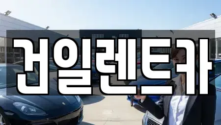 경남 김해시 삼정동 장기렌트카 전문 건일렌트카