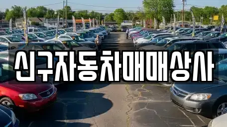 경남 김해시 삼정동 중고차 전문 신구자동차매매상사