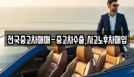 경남 김해시 삼정동 중고차매입 전문 전국중고차매매-중고차수출,사고노후차매입