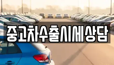 경남 사천시 서금동 중고차매매 전문 중고차수출시세상담