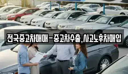 경남 사천시 서금동 중고차매입 전문 전국중고차매매-중고차수출,사고노후차매입
