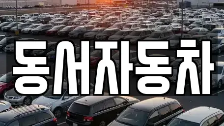 경남 사천시 서포면 렌트카,단기렌트카,장기렌트카,중고차,중고차매매,중고차매입