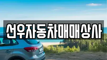 경남 사천시 용강동 중고차매매 전문 선우자동차매매상사