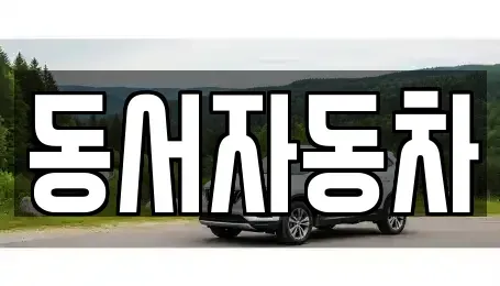 경남 진주시 중안동 중고차 전문 동서자동차