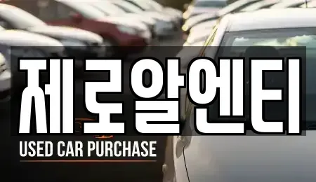 경남 창원시 마산합포구 대성동2가 렌트카 전문 제로알엔티