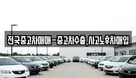 경남 창원시 마산합포구 대성동2가 중고차 전문 전국중고차매매-중고차수출,사고노후차매입