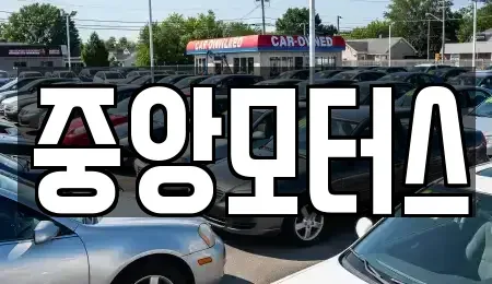경남 창원시 마산합포구 장군동4가 중고차매매 전문 중앙모터스