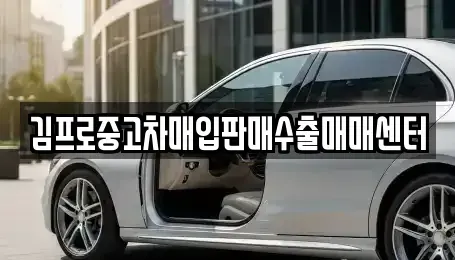 경남 창원시 마산합포구 장군동4가 중고차매입 전문 김프로중고차매입판매수출매매센터