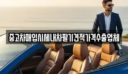 경남 창원시 진해구 경화동 중고차매입 전문 중고차매입시세내차팔기견적가격수출업체