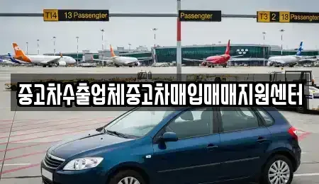 경남 창원시 진해구 경화동 중고차매입 전문 중고차수출업체중고차매입매매지원센터