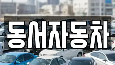 경남 창원시 진해구 도만동 중고차매매 전문 동서자동차