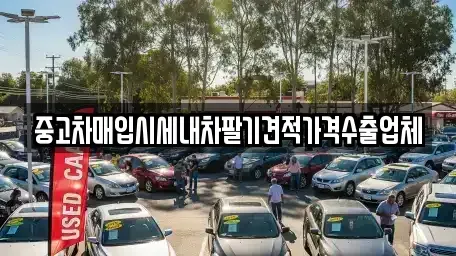 경남 통영시 중고차매입 전문 중고차매입시세내차팔기견적가격수출업체