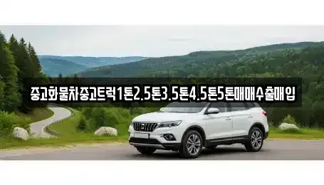 경북 경산시 남산면 중고차매입 전문 중고화물차중고트럭1톤2.5톤3.5톤4.5톤5톤매매수출매입