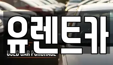 경북 경산시 백천동 렌트카 전문 유렌트카