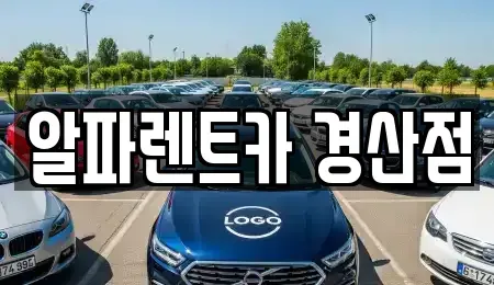 경북 경산시 삼북동 렌트카 전문 알파렌트카 경산점