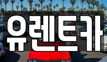 경북 경산시 삼북동 렌트카 전문 유렌트카