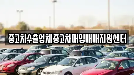 경북 경산시 삼북동 중고차매입 전문 중고차수출업체중고차매입매매지원센터
