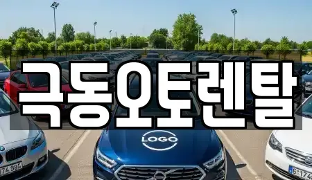 경북 경산시 삼풍동 렌트카 전문 극동오토렌탈