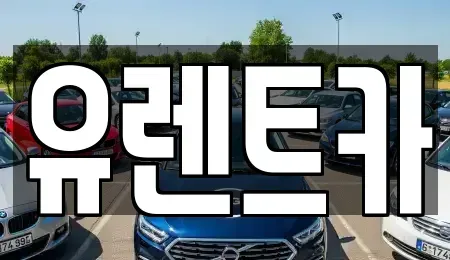 경북 경산시 삼풍동 렌트카 전문 유렌트카