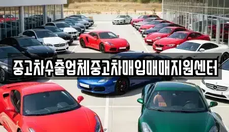 경북 김천시 남산동 중고차매입 전문 중고차수출업체중고차매입매매지원센터