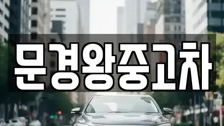 경북 문경시 윤직동 중고차매매 전문 문경왕중고차