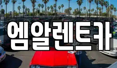 경북 성주군 용암면 장기렌트카 전문 엠알렌트카