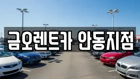 경북 안동시 송천동 렌트카 전문 금오렌트카 안동지점