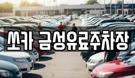 경북 안동시 신세동 렌트카 전문 쏘카 금성유료주차장