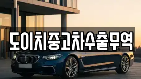 경북 포항시 남구 일월동 중고차매매 전문 도이치중고차수출무역