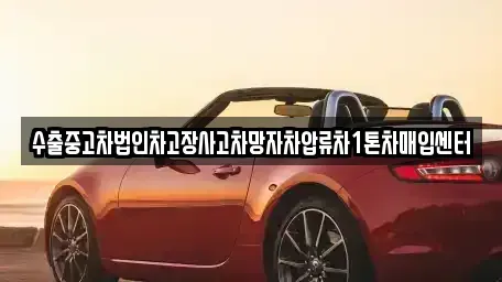경북 포항시 남구 일월동 중고차매입 전문 수출중고차법인차고장사고차망자차압류차1톤차매입센터