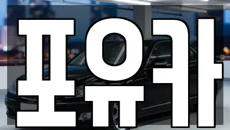 경북 포항시 남구 장흥동 중고차 전문 포유카