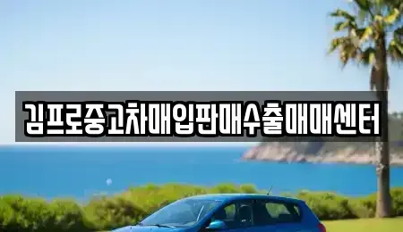 경북 포항시 남구 장흥동 중고차매입 전문 김프로중고차매입판매수출매매센터