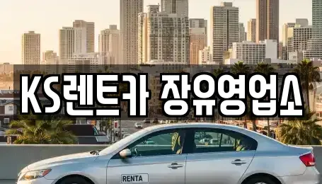 경상남도 김해시 명법동 렌트카 전문 KS렌트카 장유영업소