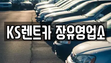 경상남도 김해시 주촌면 렌트카 전문 KS렌트카 장유영업소