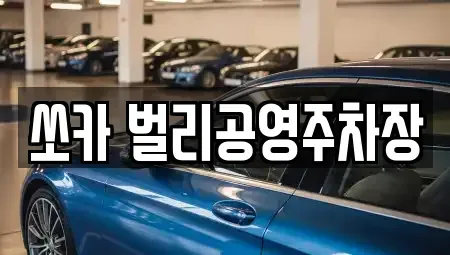 경상남도 사천시 봉남동 렌트카 전문 쏘카 벌리공영주차장