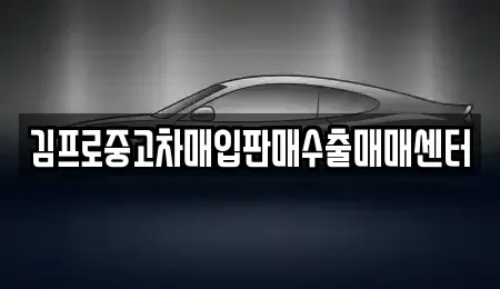 경상남도 사천시 봉남동 중고차매입 전문 김프로중고차매입판매수출매매센터