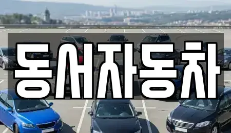 경상남도 창원시 마산합포구 가포동 중고차 전문 동서자동차