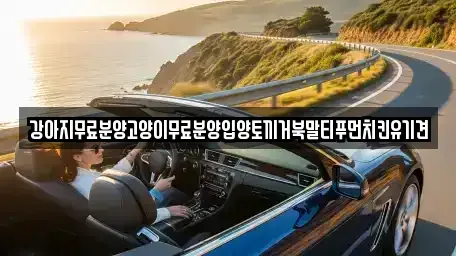 경상남도 창원시 마산합포구 가포동 중고차매입 전문 강아지무료분양고양이무료분양입양토끼거북말티푸먼치킨유기견