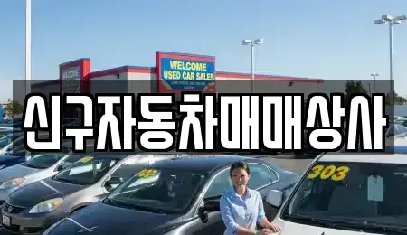 경상남도 창원시 마산합포구 중앙동3가 중고차 전문 신구자동차매매상사