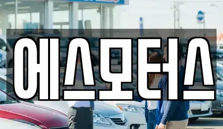 경상남도 창원시 마산합포구 중앙동3가 중고차 전문 에스모터스